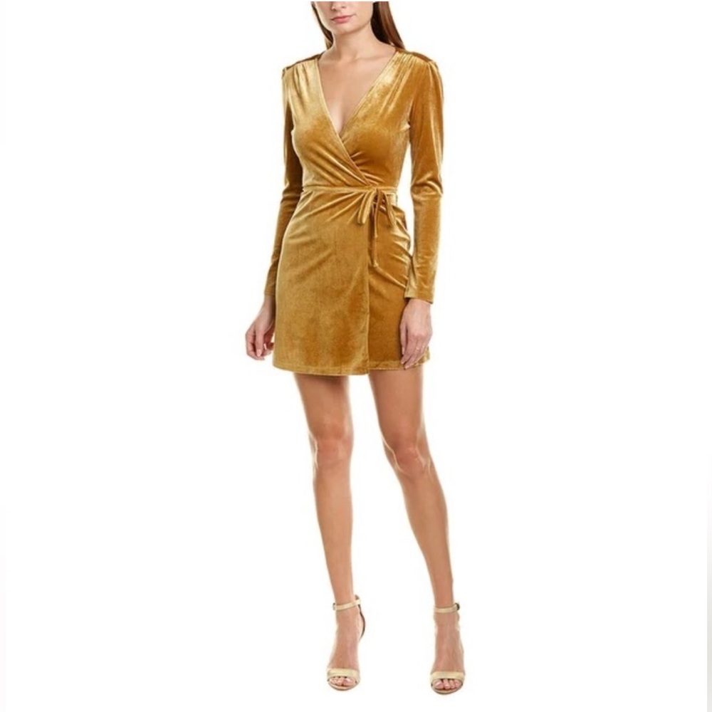 ✨NWT | Charlie Holiday | Long Sleeve Wrap Mini Dress